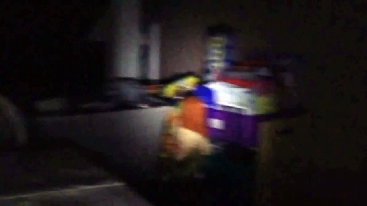 Five nights at idiots--------night 3