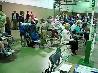 Western Boston Terrier Club 2009 Specialty Show