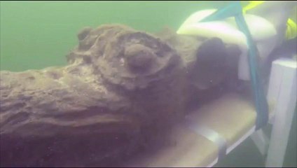 Un navire danois vieux du XVe siècle retrouvé dans les eaux suédoises