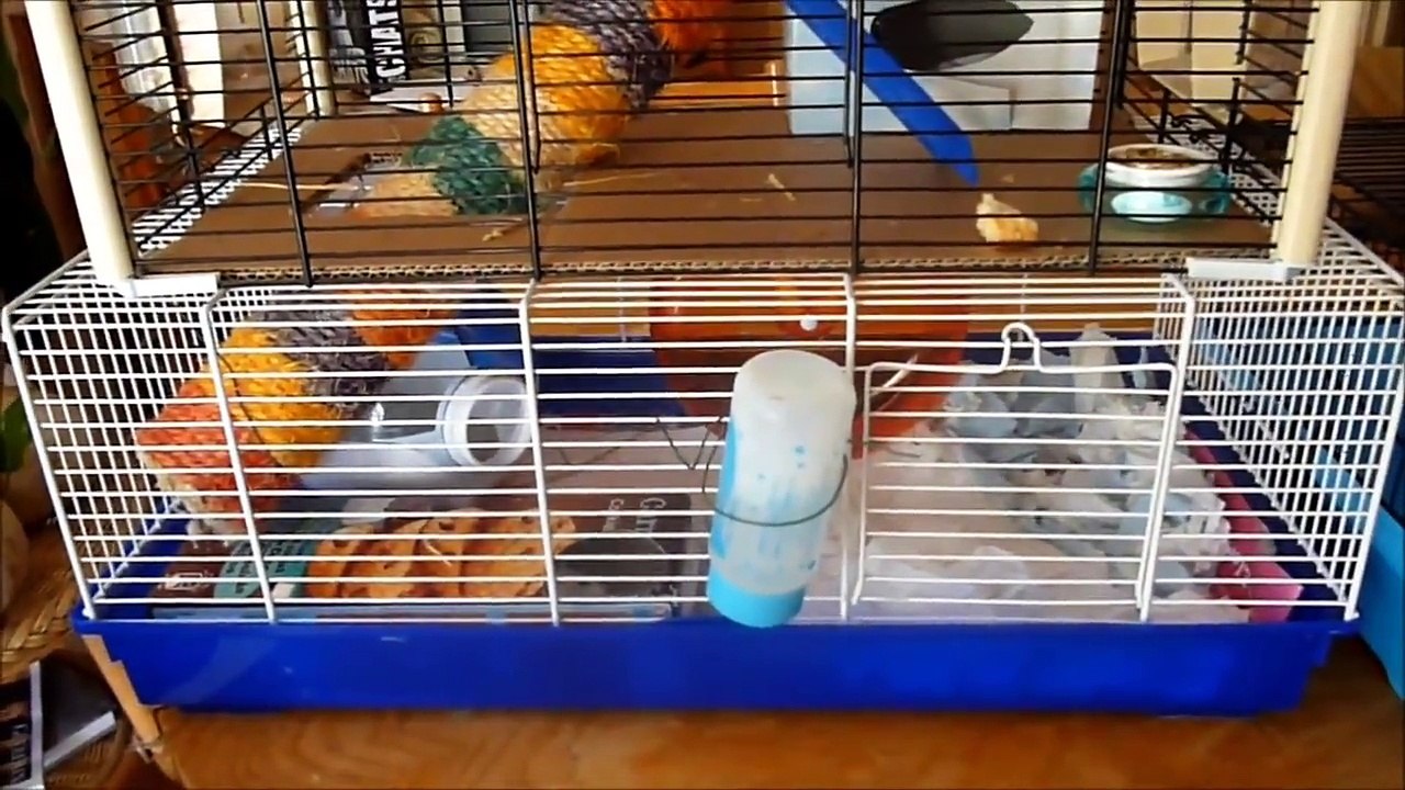 super palace à hamster réalisé avec deux cages superposées