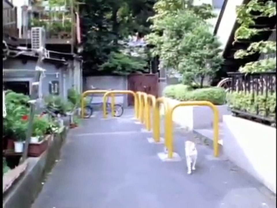 山崎まさよし / 僕と不良と校庭で