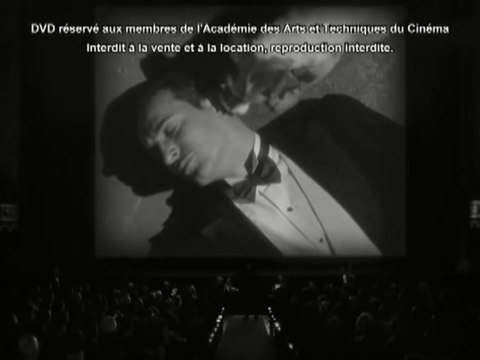 Uggie : ses meilleures scènes dans The Artist