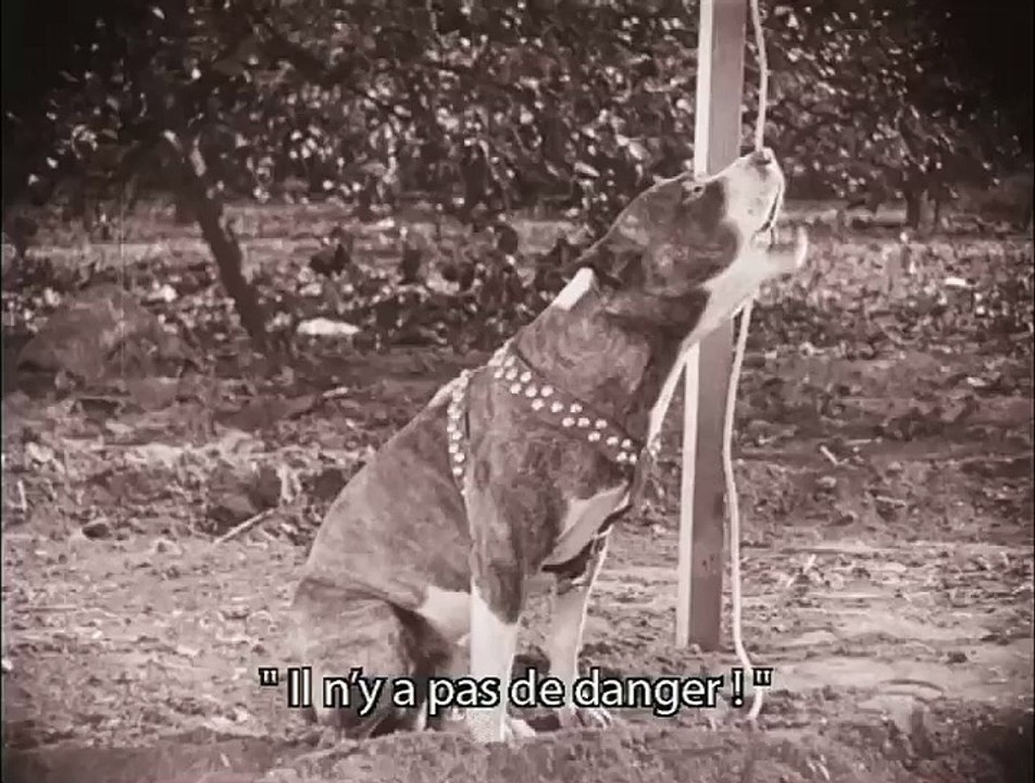 Max Linder - Les Long métrages Américains