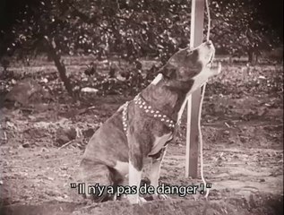 Max Linder - Les Long métrages Américains
