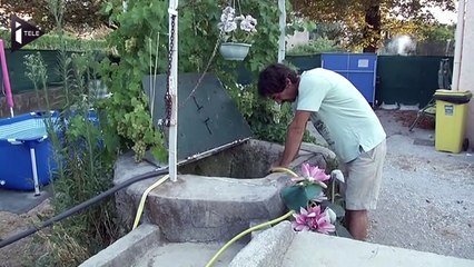 Moustique tigre : un nouveau virus fait son apparition