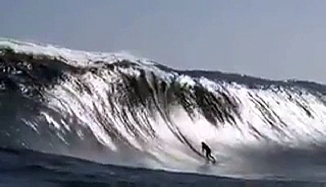 Amazing Video  ~Must Watch~