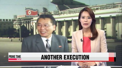 N. Korean leader ordered execution of vice premier: sources