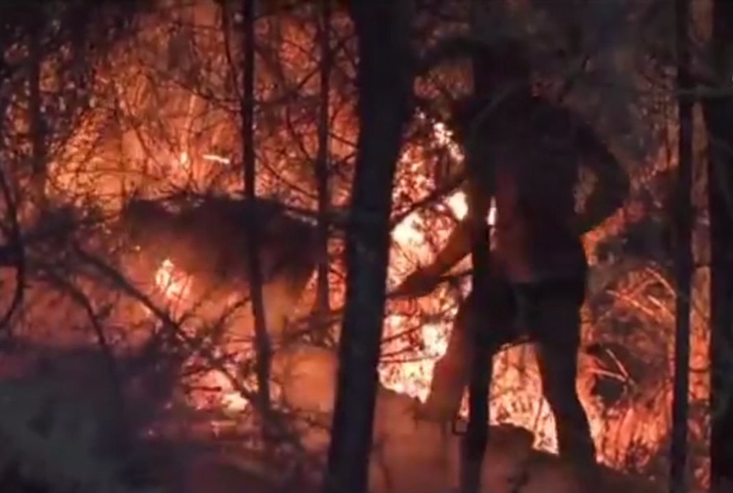 Les incendies au Portugal à travers nos télés, en 42 secondes