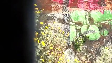 ONE TOUR - Valparaiso (Chile), street art & "co"