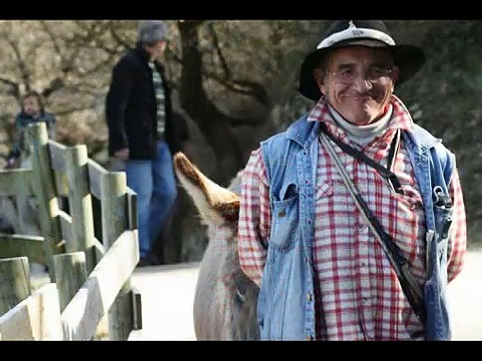 les anes de michel
