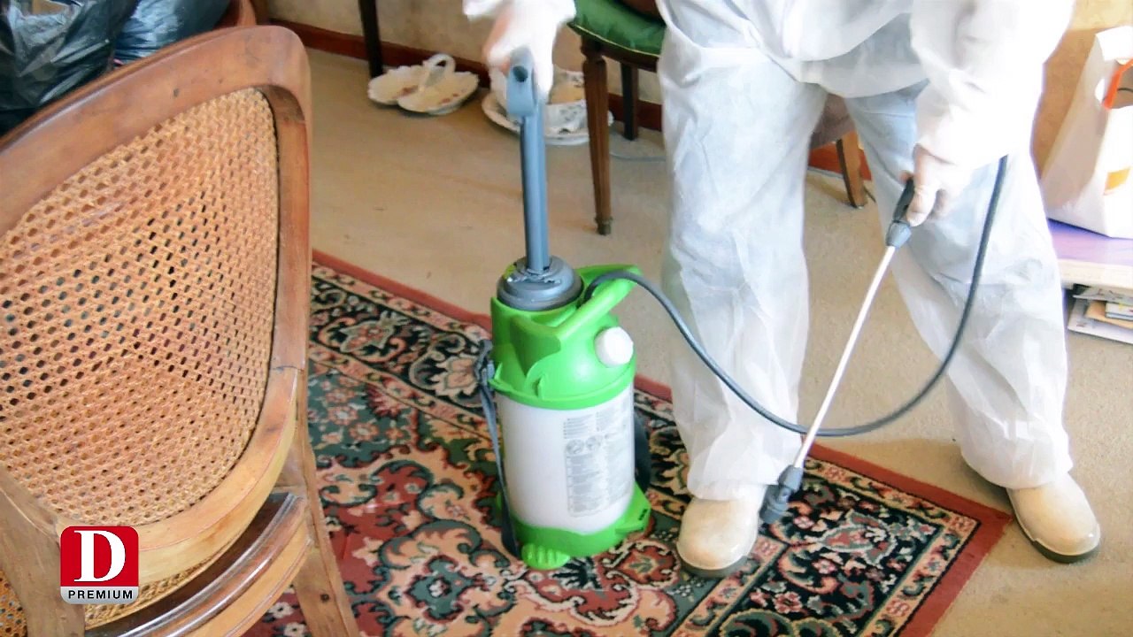 Pas de vacances pour les nuisibles