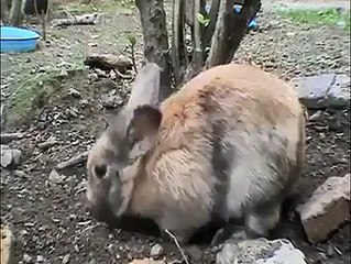 تھری ڈی ڈرائنگ کا کمال دیکھیے ۔۔