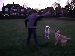 storm en max aan het spelen