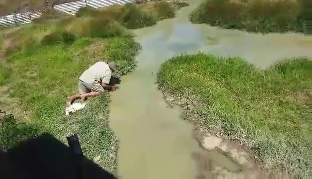 Les eaux d'Australie réservent d'effrayantes surprises