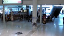 Toronto.zip: Landing in Pearson Airport | ورود به فرودگاه پیرسون