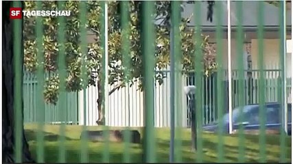 Imam Youssef Ibram - Das Steinigungs- und Amputationsstraf-"Recht" Scharia findet er gut.