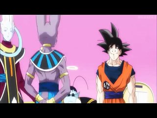 ssj3 goku vs lord beerus sped up