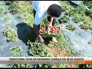SHOWS DA FESTA DO MORANGO VÃO SER PAGOS PELA PRIMEIRA VEZ