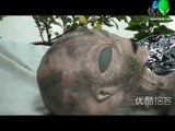 UFO Dead Alien Body In Hongkong - Incredible!
