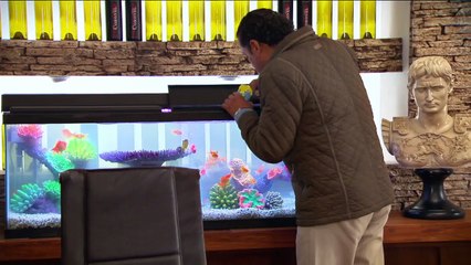 CDG - Capítulo 67 | Melchor no dejará que Rómulo vaya a prisión