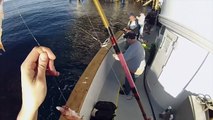 Catching Rockfish aboard the Gentlemen: Channel Island Sportfishing