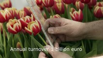 Kracht van Nederland: Wageningen UR draagt bij aan innovaties agrifoodsector