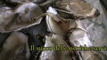 Quaderni di Cucina Sarda: Insalata di Polpo bagnato da Succo d'ostrica e frutti di mare