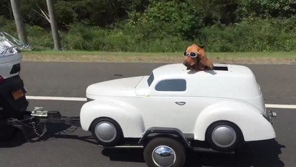 Un chien qui a du swag : Il roule dans sa propre voiture tractée par la moto de son maitre !