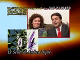Gloria Valli - Intervista con Andrea Diprè