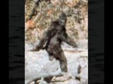 FACT OR FICTION : DO GHOSTS,ALIENS & BIGFOOT EXIST!? - Podcast#46