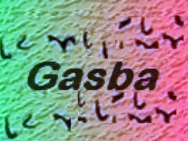 gasba