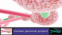 Sid Meier Alpha Centauri - Proyecto Secreto - El proyecto Genoma Humano