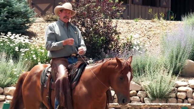 Cherokee Bridle Riding Pat Parelli Four Savvys - Finesse Level 4 DVD Excerpt