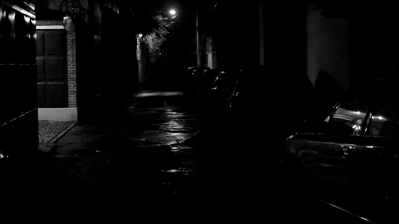 Who´s Afraid Of Virginia Woolf (Martha´s monologue)