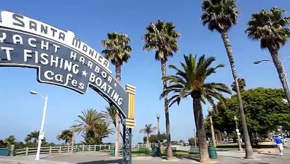 Discover How to Work With Jon Pfeiffer: Your Guide to Legal Support 🤝