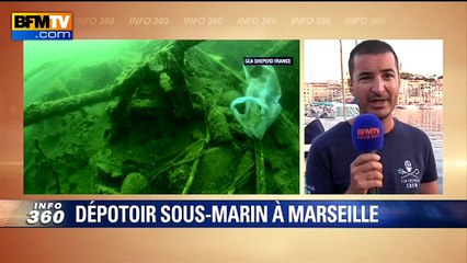 Sea Shepherd: "Le Vieux-Port de Marseille peut être comparé à une décharge publique"