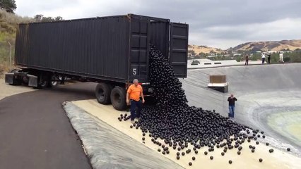 Shade Balls