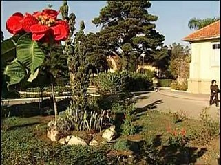 HOSPITAL PSIQUIATRICO NOSSA SENHORA DA LUZ - PARTE 01