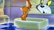 Cartoon   Tom And Jerry Cartoon   Tom And Jerry   Baby Puss 1943