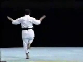 Nipaipo Shito Ryu