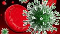 New SARS-like Coronavirus Spreads to Italy