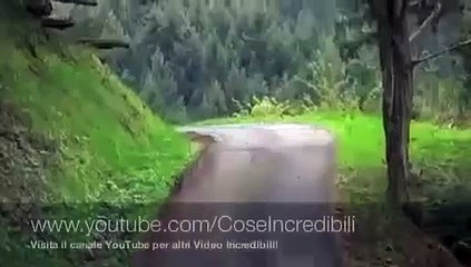 Incredibile incidente Rally!