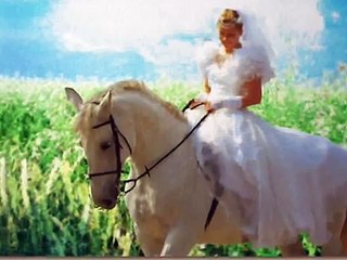 Einem Pferd zu verstehen