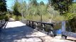 Recycled Plastic Bridge in Wharton State Forest, New Jersey