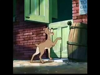 Lady and the Tamp Tramp Nice Bone