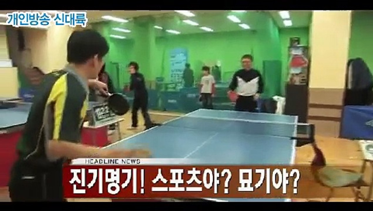 KBS2 아침 뉴스타임 오프닝 ( KBS2 MORNING NEWTIME OPENING )