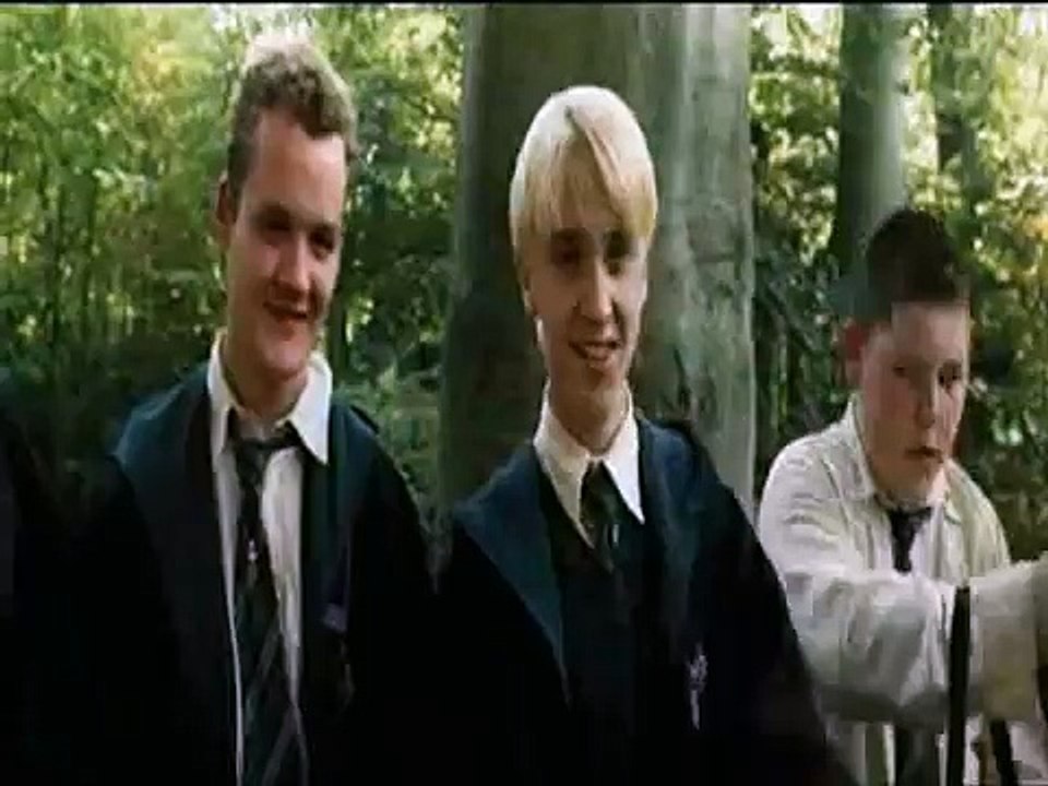 All The Things He Said [Harry/Draco]