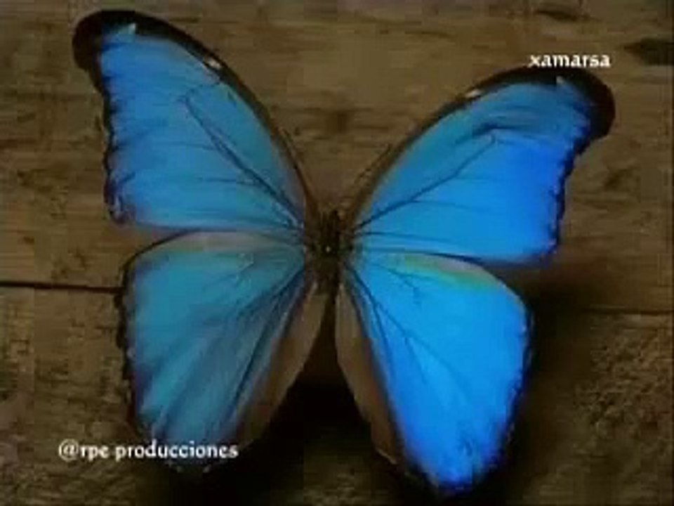 Charles Darwin y la teoría de la evolución.- 2/5