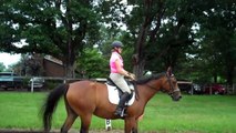 Whats happening with your hands in the canter trot transitions? S3 Riding instruction