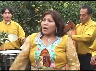 perlita de huaral - corazon de piedra - celoso - mi martirio mix